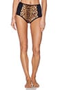 view 1 of 4 Leopard High Waist Bikini Bottom in Black Multi