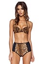 view 1 of 3 Leopard Halter Bra Bikini Top in Black Multi