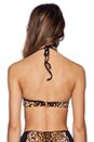 view 3 of 3 Leopard Halter Bra Bikini Top in Black Multi