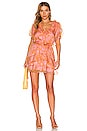view 1 of 3 Jennie Ann Dress in Flirty Floral