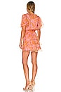 view 3 of 3 Jennie Ann Dress in Flirty Floral