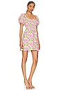 view 2 of 3 Bixby Mini Dress in Fresh Floral
