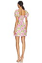 view 3 of 3 Bixby Mini Dress in Fresh Floral