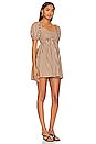 view 2 of 3 Smitten Babydoll Dress in Brown Gingham