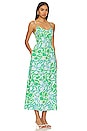 view 2 of 3 Allegra Midi Dress in Spring Tiffany Floral