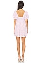 view 3 of 4 Smitten Baby Doll Dress in Rosette Mesh Pink