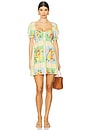view 1 of 3 Annabelle Mini Dress in Country Bouquet
