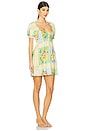 view 2 of 3 Annabelle Mini Dress in Country Bouquet