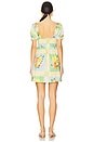 view 3 of 3 Annabelle Mini Dress in Country Bouquet