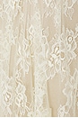 view 5 of 5 Joelle Maxi Dress in Dainty White Lace