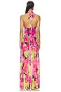 view 4 of 4 Katia Maxi Dress in Tropic Night Mesh