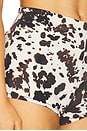 view 6 of 6 x REVOLVE El Paso Shorts in Cow Print Denim