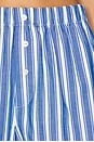 view 6 of 6 MAX ボクサーショートパンツ in Coastal Blue Stripe