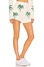 view 2 of 4 Boardwalk Shorts in Palm Tree Knit