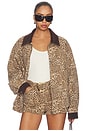 view 1 of 5 Carter Bomber Jacket in Mod Leopard Denim