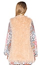 view 4 of 5 Luis Faux Fur Vest in All Day Faux Fur