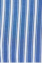 view 5 of 5 Braxton Button Down in Coastal Blue Stripe