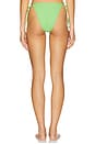 view 3 of 4 Tides Mojito Bikini Bottom in Green Scrunch
