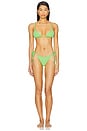 view 4 of 4 Tides Mojito Bikini Bottom in Green Scrunch