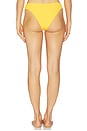 view 3 of 4 BRAGUITA BIKINI SILVANA in Honey Scrunch