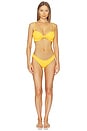 view 4 of 4 BRAGUITA BIKINI SILVANA in Honey Scrunch