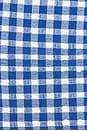 view 5 of 5 BAS DE MAILLOT DE BAIN in Blueberry Gingham