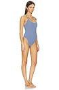 view 2 of 4 MAILLOT DE BAIN 1 PIÈCE POSITANO in Blueberry Gingham