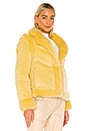 view 3 of 5 Coronis Faux Fur Jacket in Pale Banana