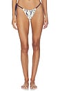view 1 of 4 Phillipa String Bikini Brief in Eira Midnight