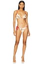 view 4 of 4 Hana String Bikini Bottom in Gladioli Print