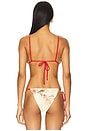 view 3 of 4 Hana String Triangle Bikini Top in Gladioli Print