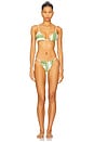view 4 of 4 Carlo String Bikini Brief in Milano Verde