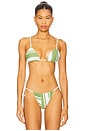 view 1 of 4 Carlo String Triangle Bikini Top in Milano Verde