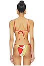 view 3 of 4 Julietta String Triangle Bikini Top in Fiorello Rosso
