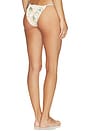 view 3 of 5 Cecile String Bikini Brief in Eira Butter