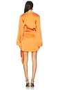 view 4 of 4 Elaina Wrap Dress in Paprika