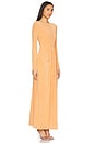view 2 of 3 Dakota Maxi Dress in Apricot