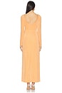 view 3 of 3 Dakota Maxi Dress in Apricot