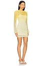 view 2 of 3 Honey Mini Dress in Lemon Crush