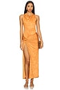 view 1 of 3 Nala Dress in Cinnamon