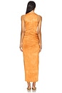 view 3 of 3 Nala Dress in Cinnamon