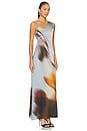 view 2 of 3 Sora Maxi Dress in Lucid Bloom