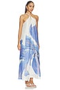view 2 of 3 Rumi Maxi Dress in Spliced Bloom