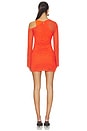 view 4 of 4 Tola Mini Dress in Pomegranate