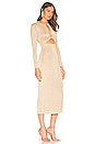 view 2 of 3 Monza Dress in Fawn