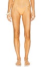 view 1 of 1 Jasmin Tie Bikini Brief in Apricot