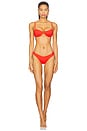 view 4 of 4 TAIT 브라질리안 비키니 하의 in Chilli