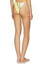 view 3 of 4 Karah Tie Brief in Citrus Stripe