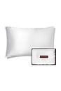view 1 of 5 Queen Pure Silk Pillowcase in White