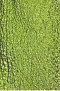 view 4 of 4 Fountain Metallic Mini Dress in Matcha